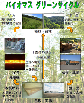 木材資源の造林･育林･利用で地産地消の資源循環型グリーンサイクルを実行